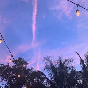 Meet your Posher, Ariana